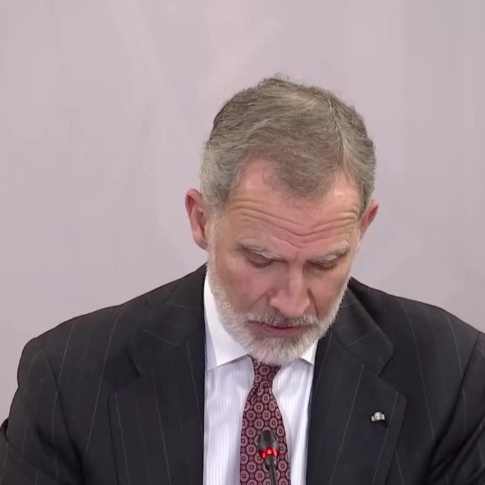 Felipe VI destaca la solidez de las instituciones como aval