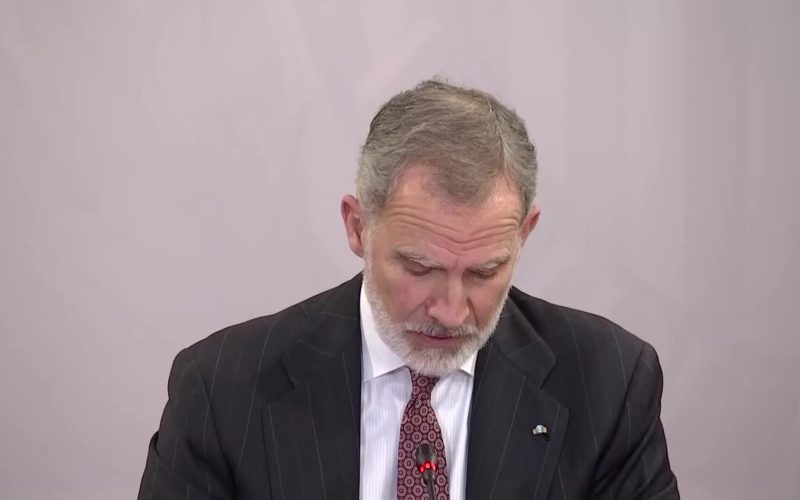 Felipe VI destaca la solidez de las instituciones como aval